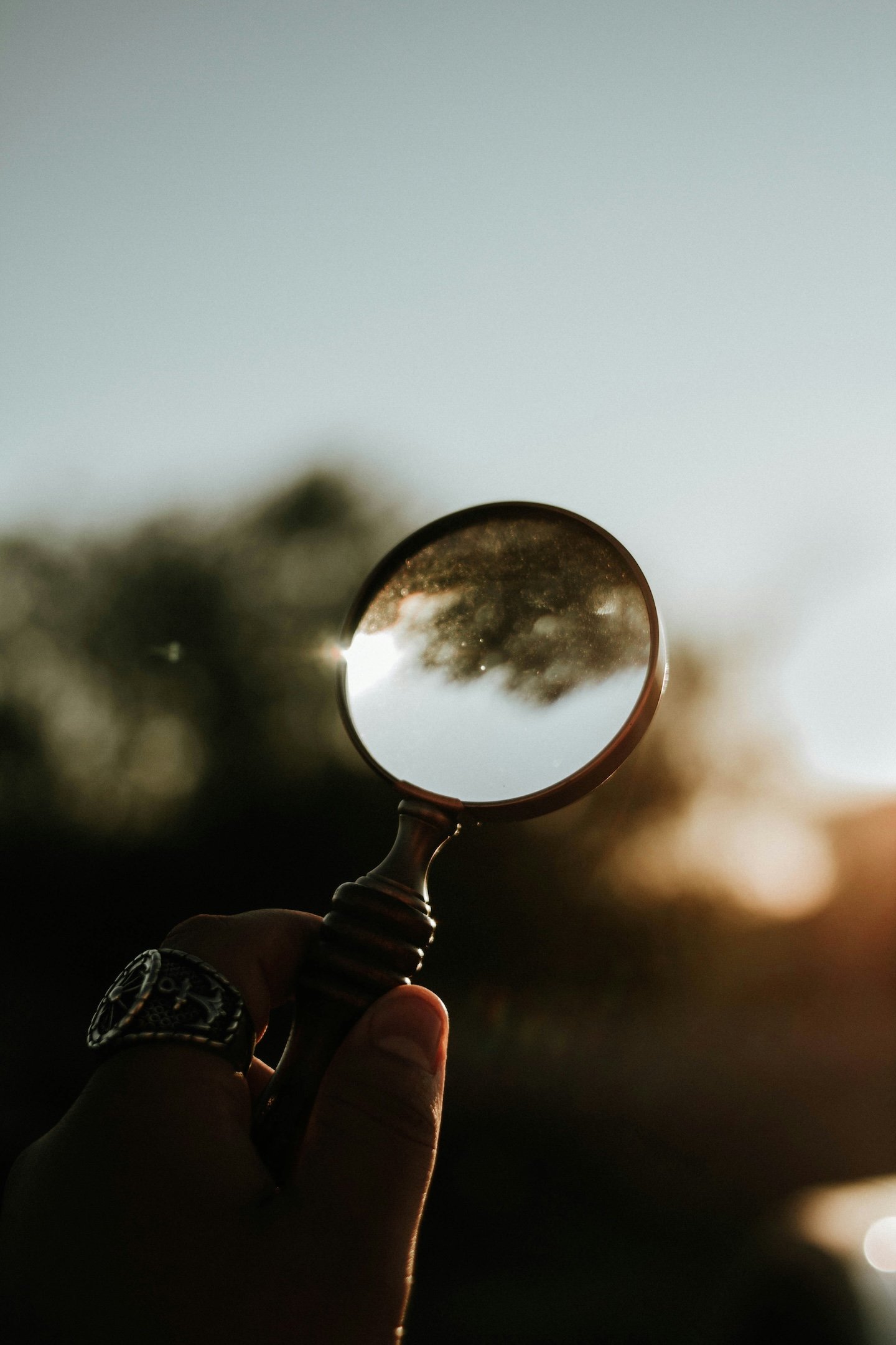 Shopper Insights-Market Intelligence