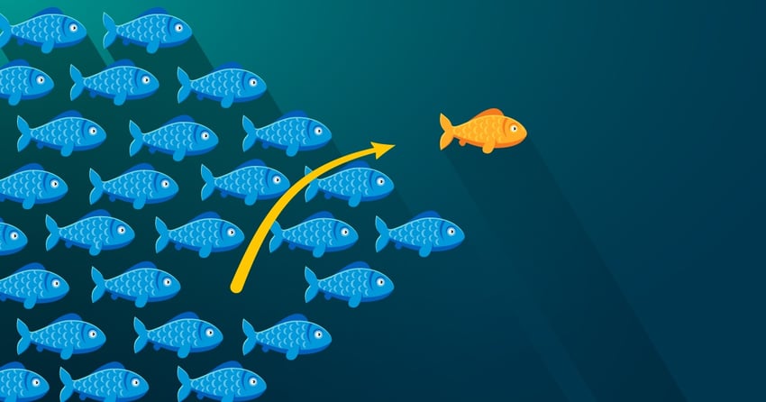 Liidien generointi verkkosivuilla helposti HubSpotin LeadFlown avulla