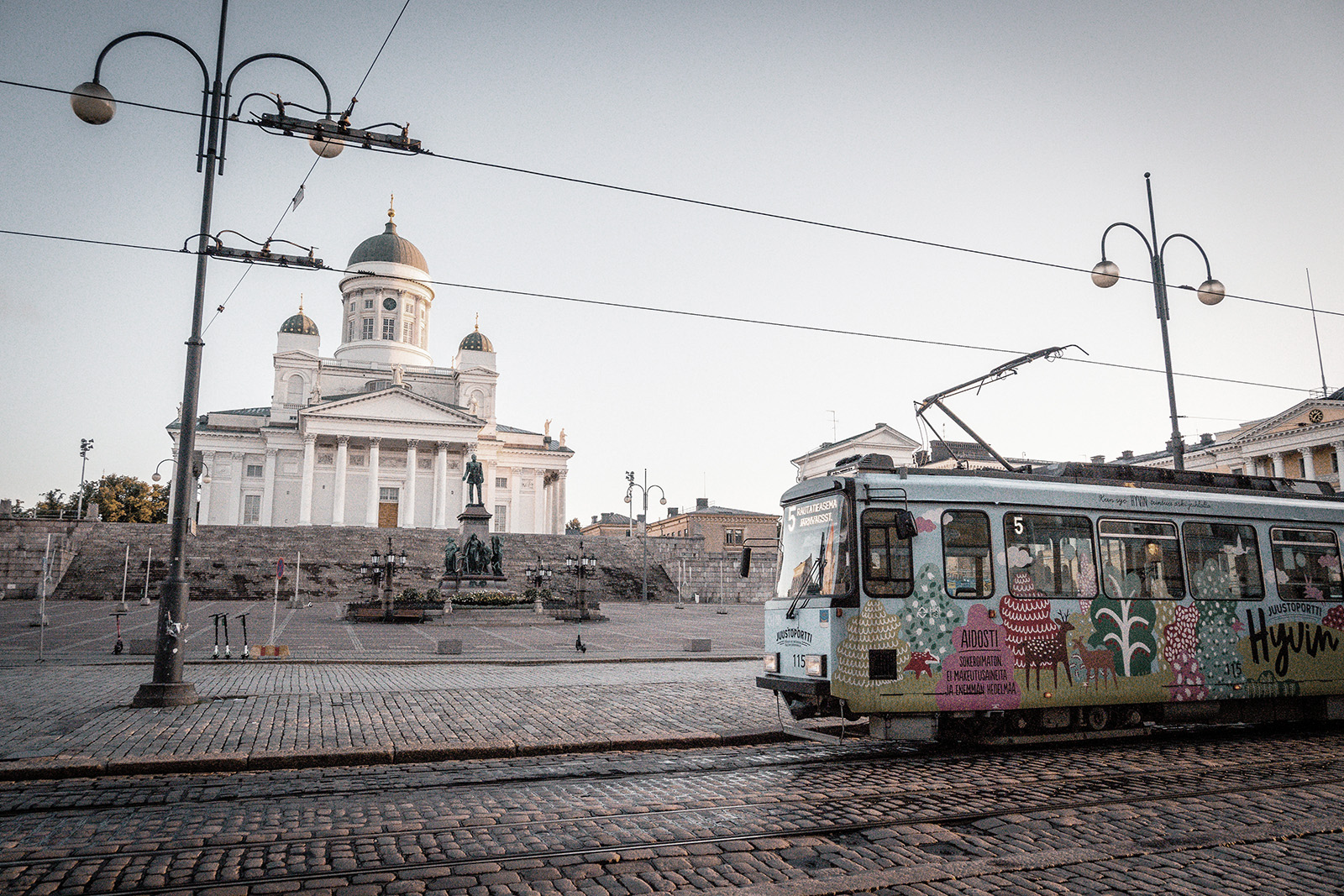 Nordic Roots with Regional Reach